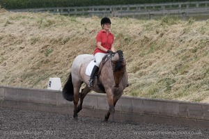 ISIS Dressage Challenge 2008